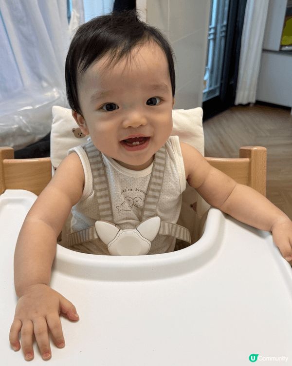 幼兒觸感書以及Stokke 餐椅，令幼兒能夠安靜觀看圖書，參...