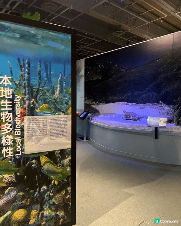 科學館GOGOGO