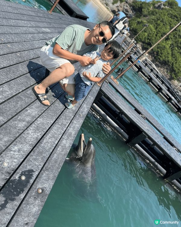 在香港，推介奇趣天地玩具店，放假就可以去外地旅遊，如日本親親...