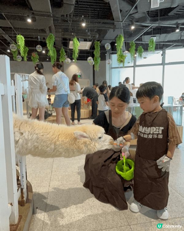 嬰兒車: 呢款雙人嬰兒推車係內地品牌BlueBaby，專為雙...