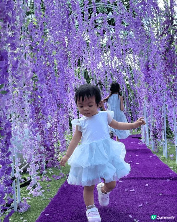 暑假帶兩隻小神獸造訪信芯園農莊！園內有好多太陽花向陽盛開，兩...