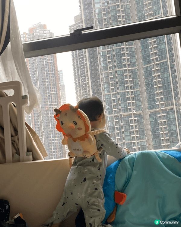 Bb開始學行時，容易企不穩，這個cushion 可防撞頭，保...
