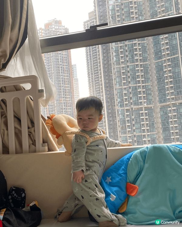Bb開始學行時，容易企不穩，這個cushion 可防撞頭，保...