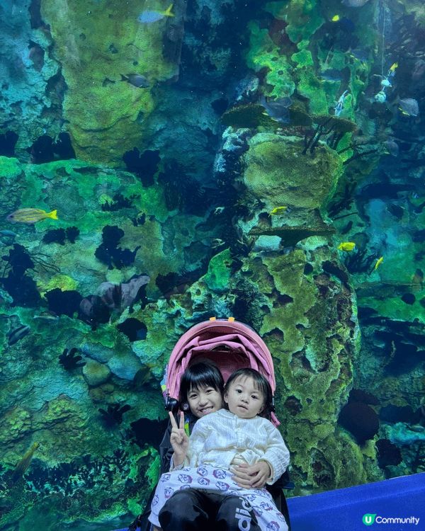 我是2個女兒1個兒子的媽媽😊我非常推介Yoyo BB車，因為...
