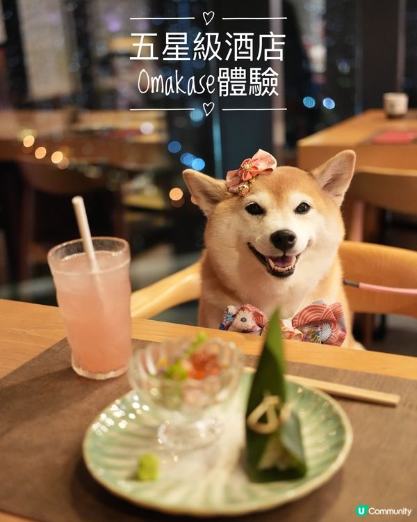 🥳慶祝生日好去處·帶毛孩食Omakase🍣