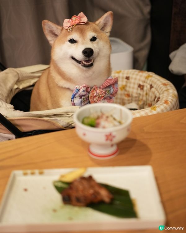 🥳慶祝生日好去處·帶毛孩食Omakase🍣