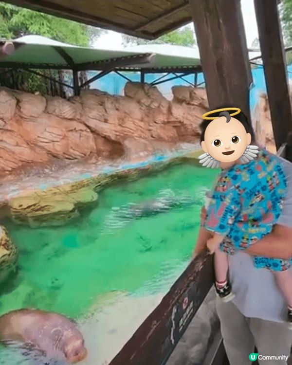 珠海長隆海洋王國，有好多海洋生物，可以畀小朋友認識大自然，適...