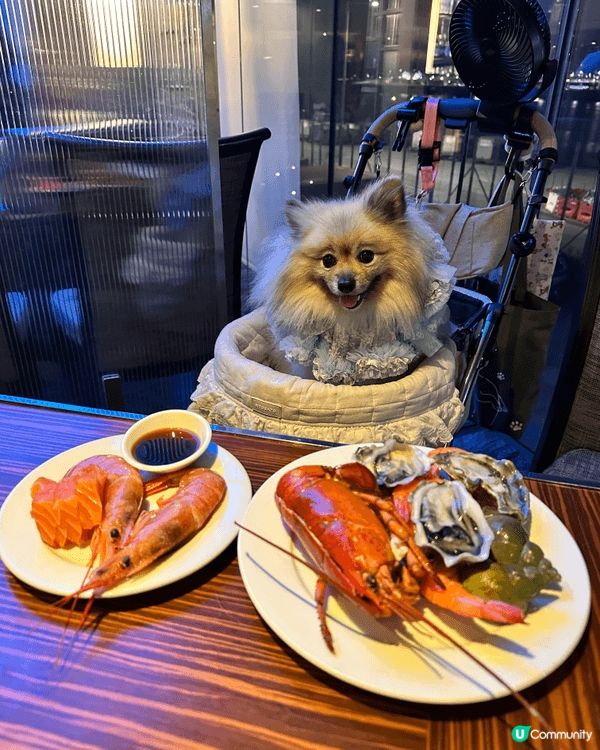 生日帶毛孩食buffet