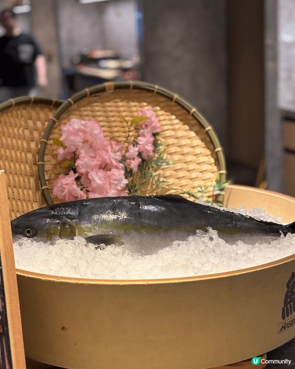 📸 【海鮮控必試】沙田 Alva House 全新「堂弄鮮嚐...
