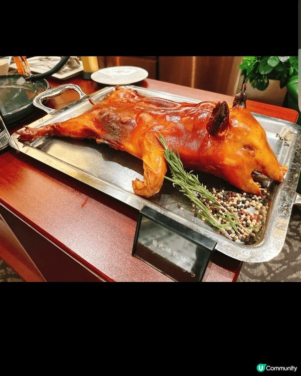 龍蝦新鮮，肉質彈牙；花膠炆得夠腍，女士們至愛😍，佛跳牆入面瑤...
