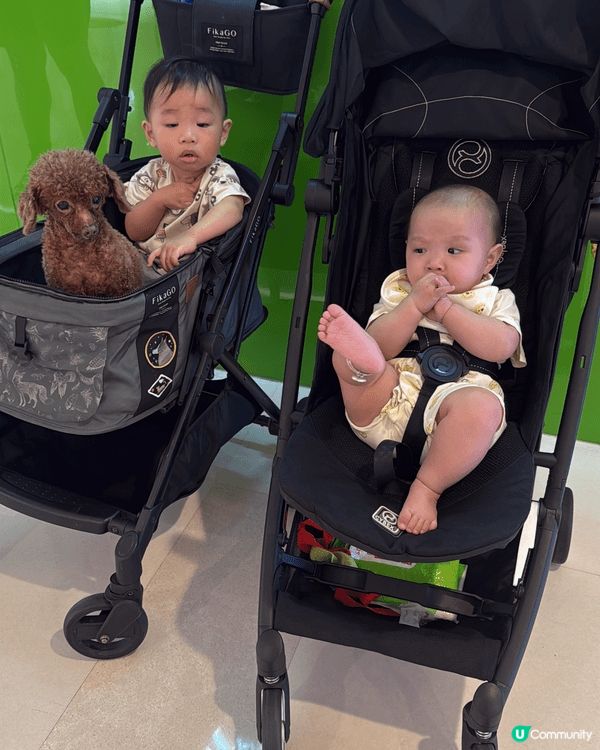 Cybex bb車