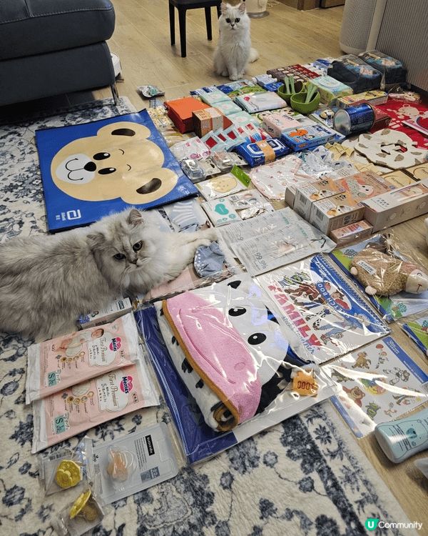 以上既相係我第一次去bb展血拼成果🤣，雖然我Bb仲係肚入面未...