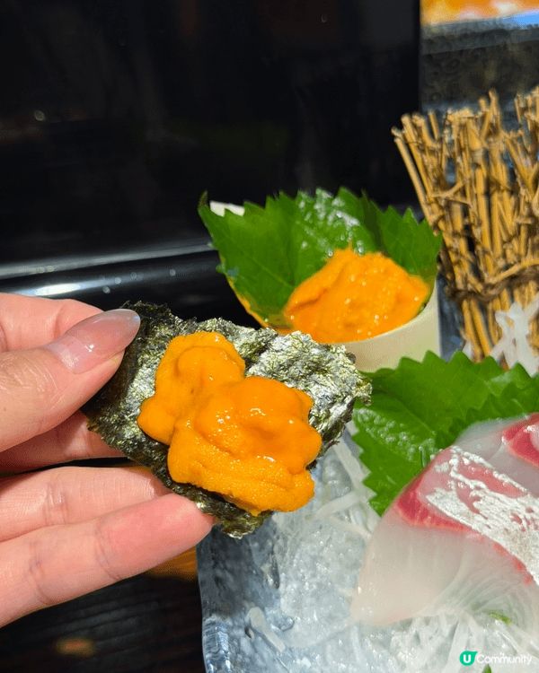 坑口鄰居大推🌼 必食高質日本居酒屋🏮