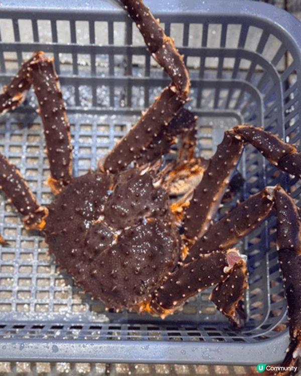 香港食🦀初體驗