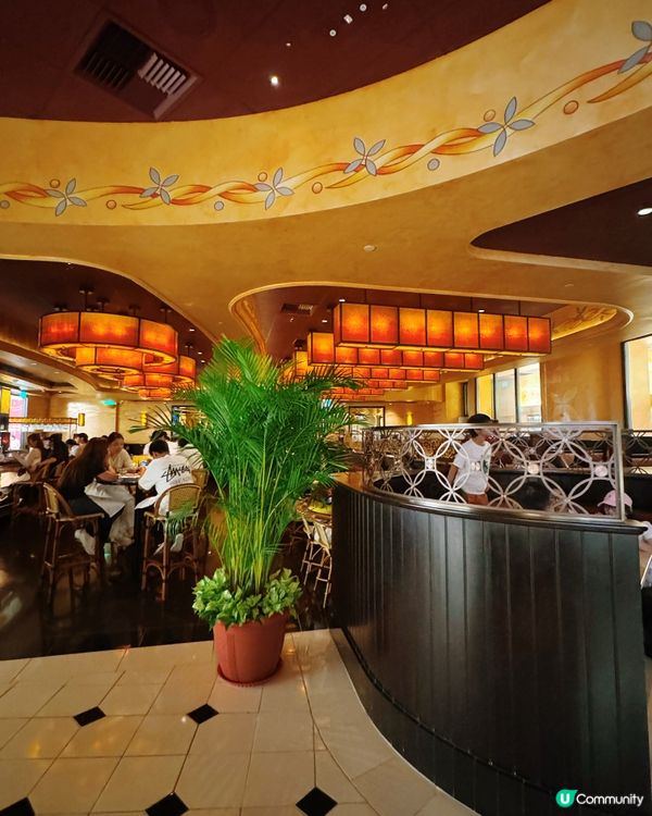 The Cheesecake Factory🍔🍰