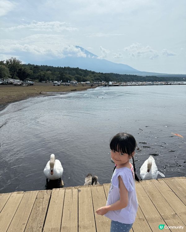 剛剛七月去完日本山中湖坐天鵝船，就見倒最新嘅Chiikawa...