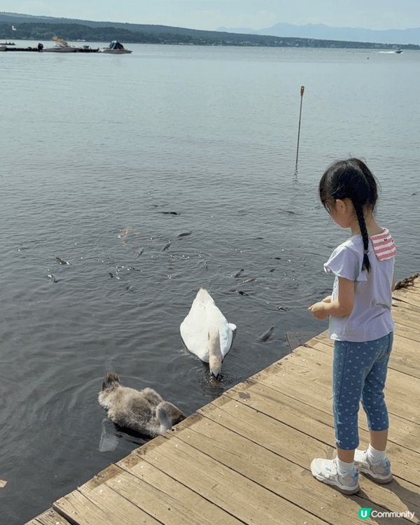 剛剛七月去完日本山中湖坐天鵝船，就見倒最新嘅Chiikawa...