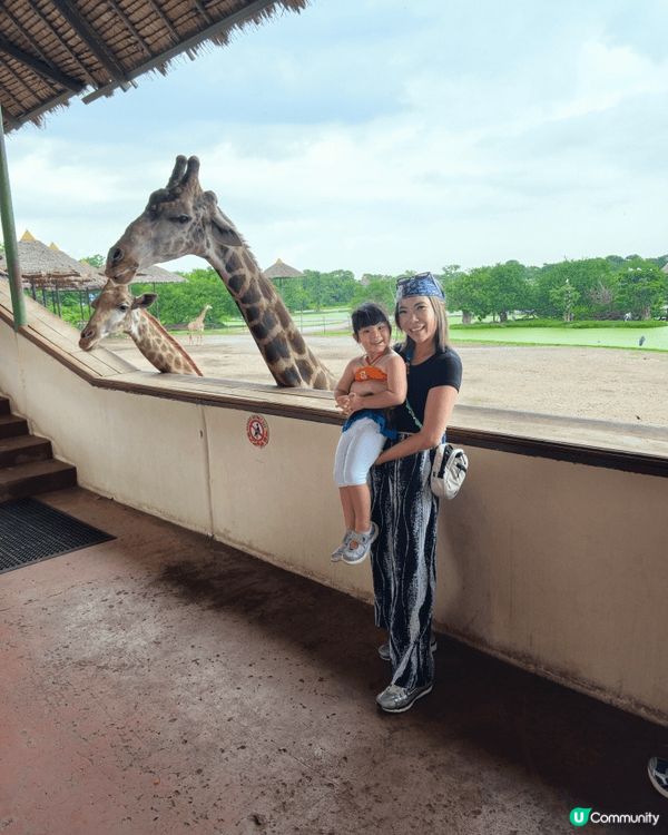 個暑假帶咗兩兄妹去泰國!去咗動物園同Villa瘋狂游水!影咗...