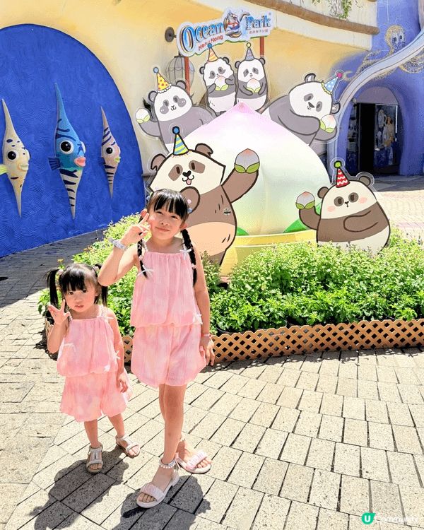 海洋公園嘅大熊貓🐼龍鳳胎家姐「加加」同埋細佬「得得」即將兩歲...