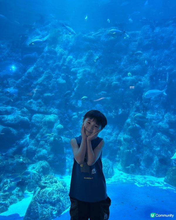 暑假當然要去海洋公園，雖然太陽好猛，但係哥哥哥哥太鍾意海洋生...