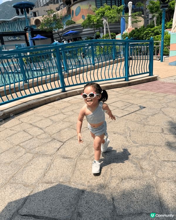 夏天必去💕海洋公園