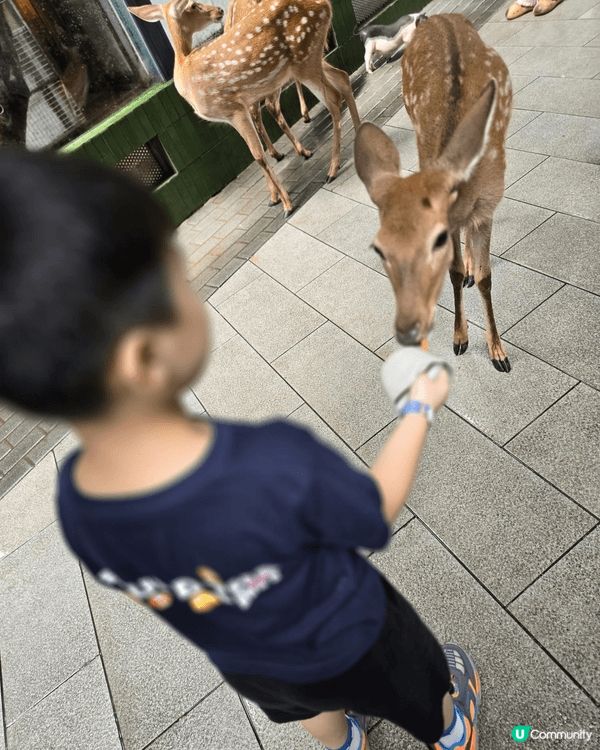 返左深圳玩空內遊戲及動物園，大人細路都玩得好開心。