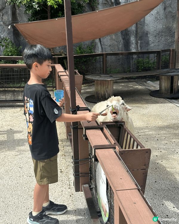 沖繩親子必去❤️