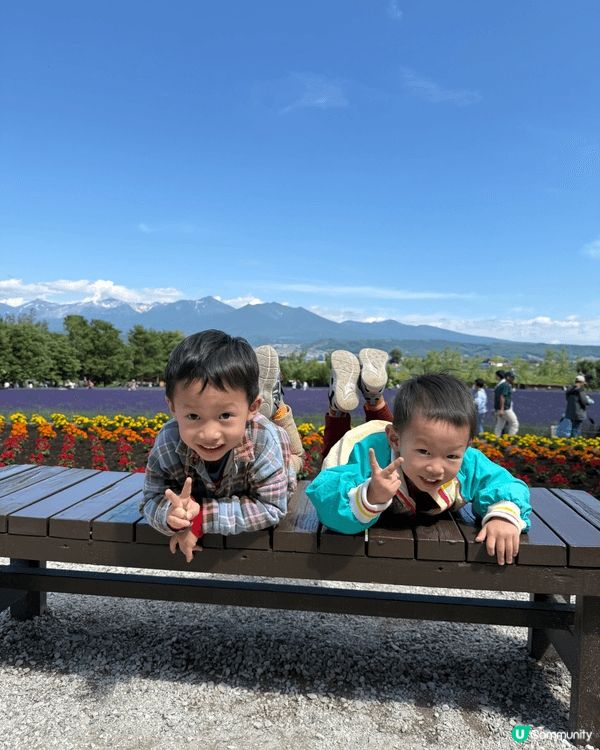 🌸富良野｜富田農場Farm Tomita。