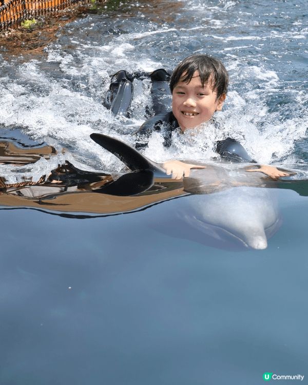 成個暑假做咗好多嘢，包括去九州旅行同海豚游水、動物園同cap...