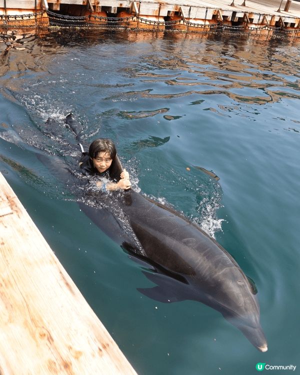 成個暑假做咗好多嘢，包括去九州旅行同海豚游水、動物園同cap...