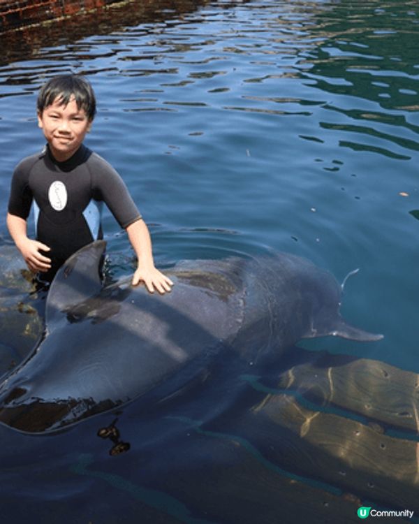 成個暑假做咗好多嘢，包括去九州旅行同海豚游水、動物園同cap...
