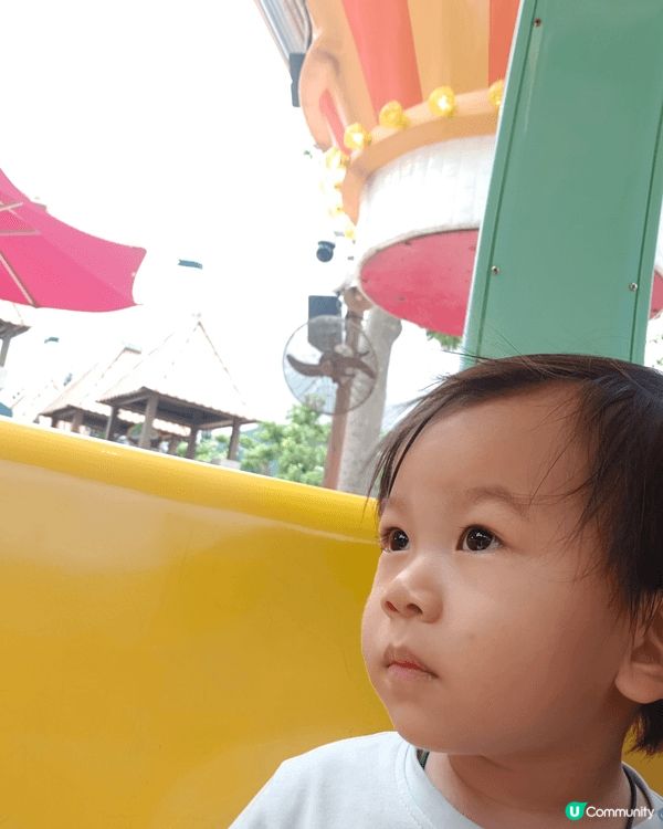 帶小朋友去海洋公園，等佢可以認識唔同小動物，而且海洋公園有不...