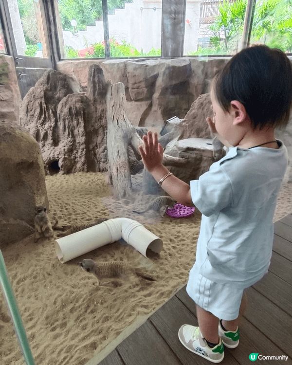 帶小朋友去海洋公園，等佢可以認識唔同小動物，而且海洋公園有不...