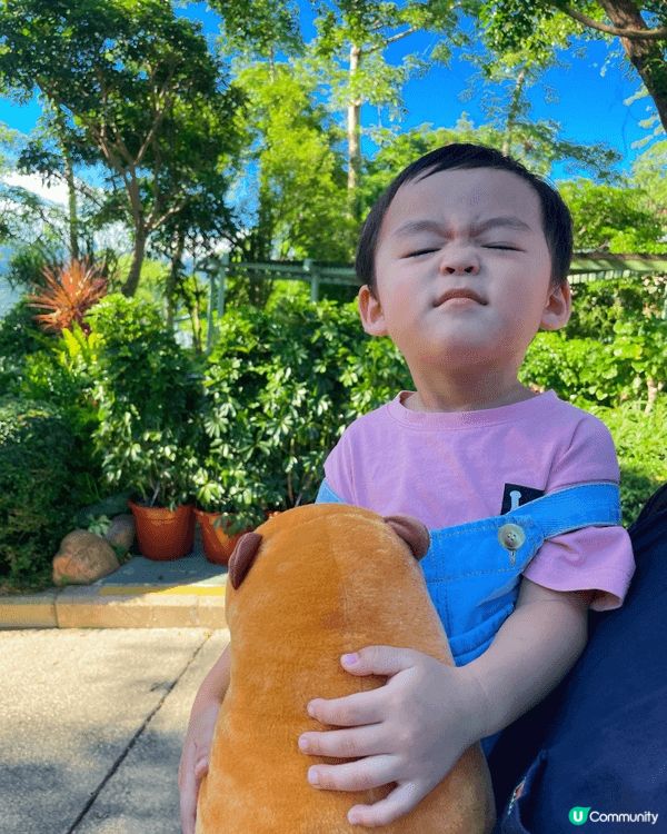 夏日雖然很熱，但最愛帶小孩到戶外玩，游水，海洋公園，彩虹村籃...