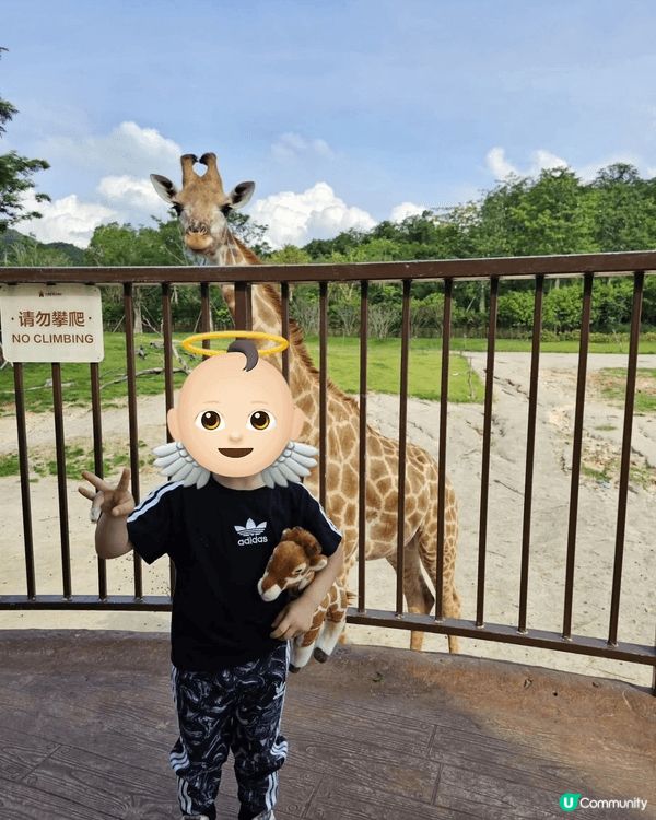暑假同小朋友去咗清遠長隆野生動物園，畀小朋友親親大自然，近距...