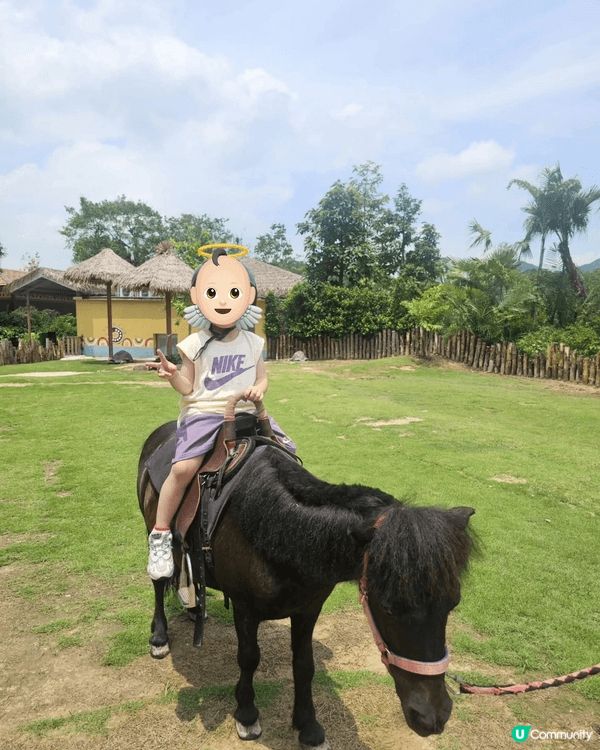 暑假同小朋友去咗清遠長隆野生動物園，畀小朋友親親大自然，近距...