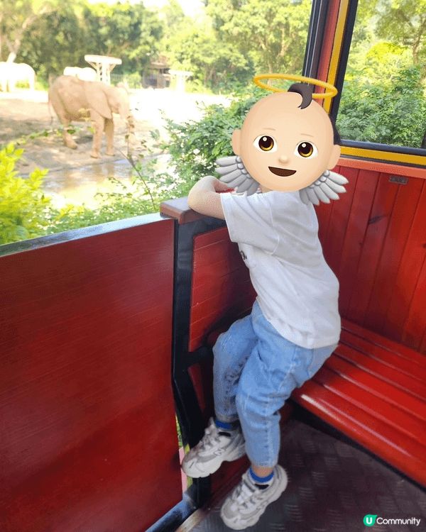暑假同小朋友去咗清遠長隆野生動物園，畀小朋友親親大自然，近距...