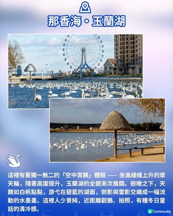 港澳遊山東必看！威海藏著冬天最治癒的畫面