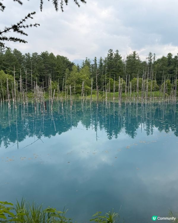 北海道慢活自由行 🏞️