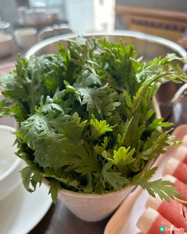 上次去了銅鑼灣新開的王府潮汕牛肉火鍋餐廳