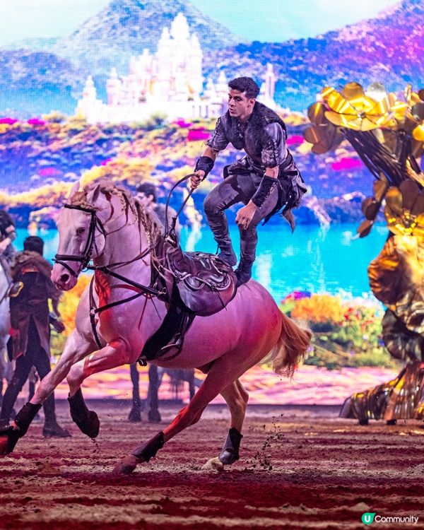 54匹馬一齊搭飛機嚟香港表演俾大家睇！✈️🐎