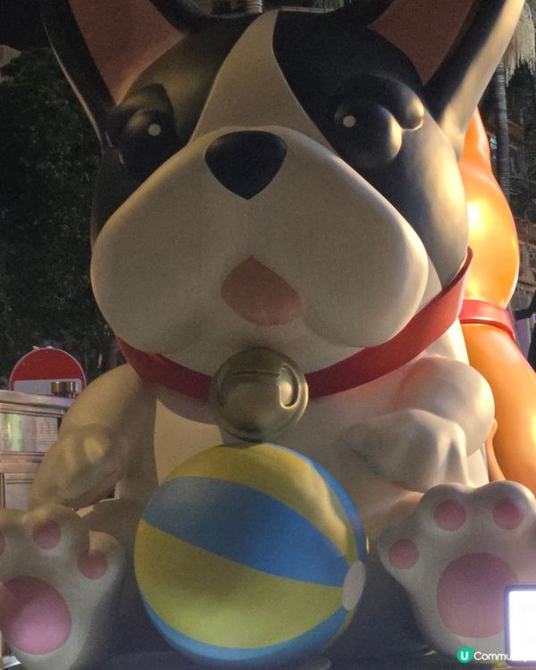狗狗