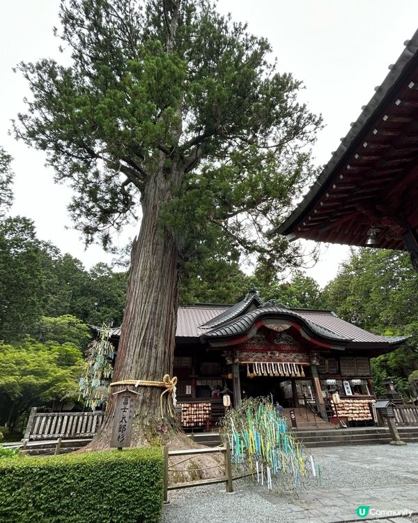 富士山必到 💕 北口本宮富士淺間神社