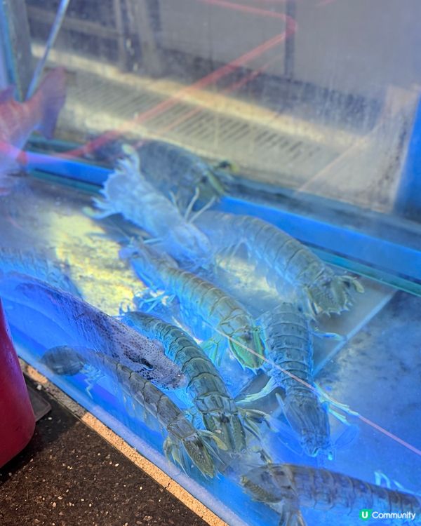 第20屆辣蟹天王！🤤 財記40年老字號 🦀