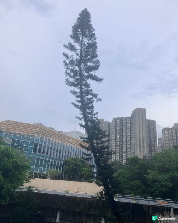 中國風！恒大藝術展睇吓 🇨🇳🎨
