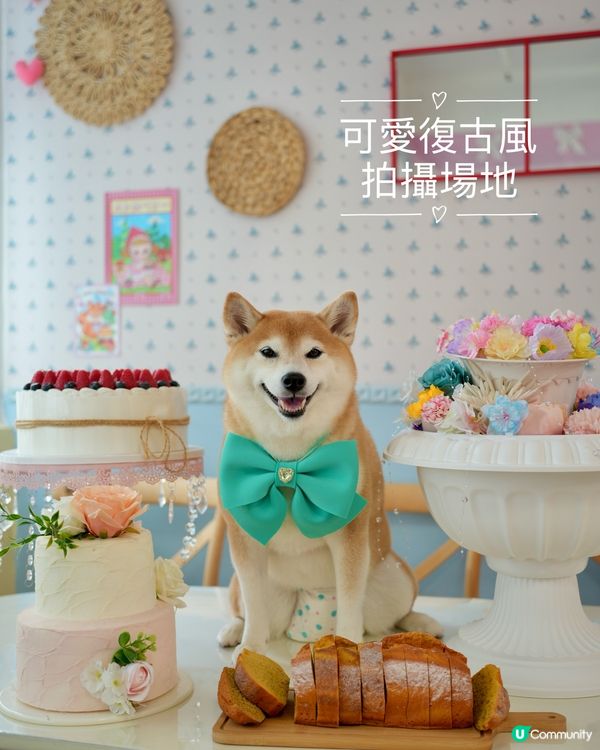 🎀少女心滿滿·夢幻復古Partyroom✨