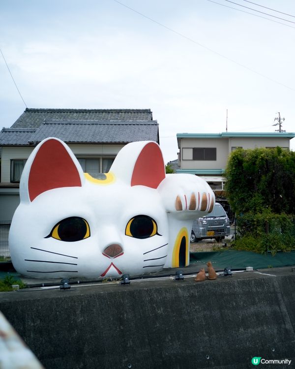 名古屋常滑市🌸🧸