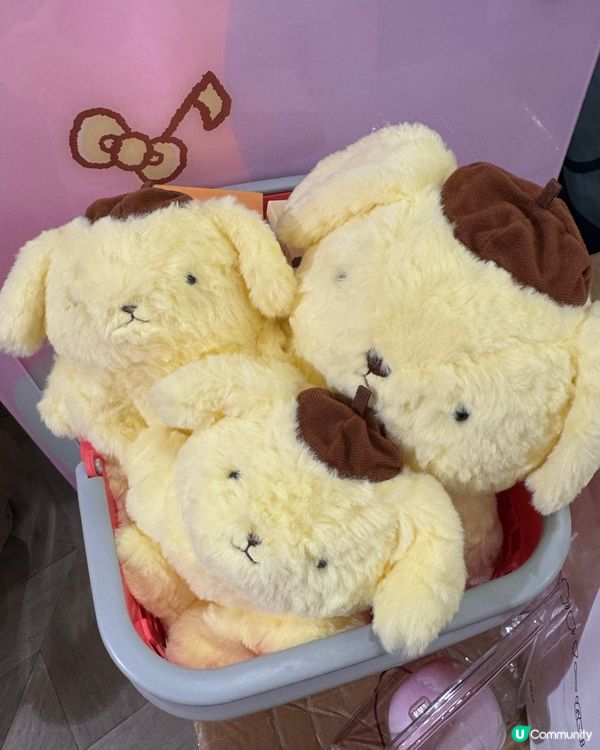 布甸狗30週年限定公仔💛掃貨攻略🥳
