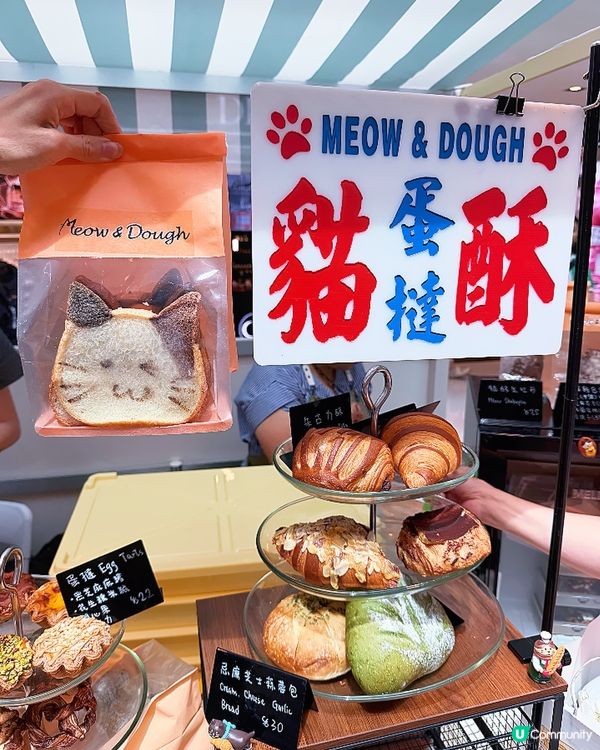 沙田 6,000 呎｢CHILL 歎麵包節｣開展啦! 🍞🔥...