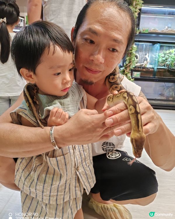 小動物大體驗